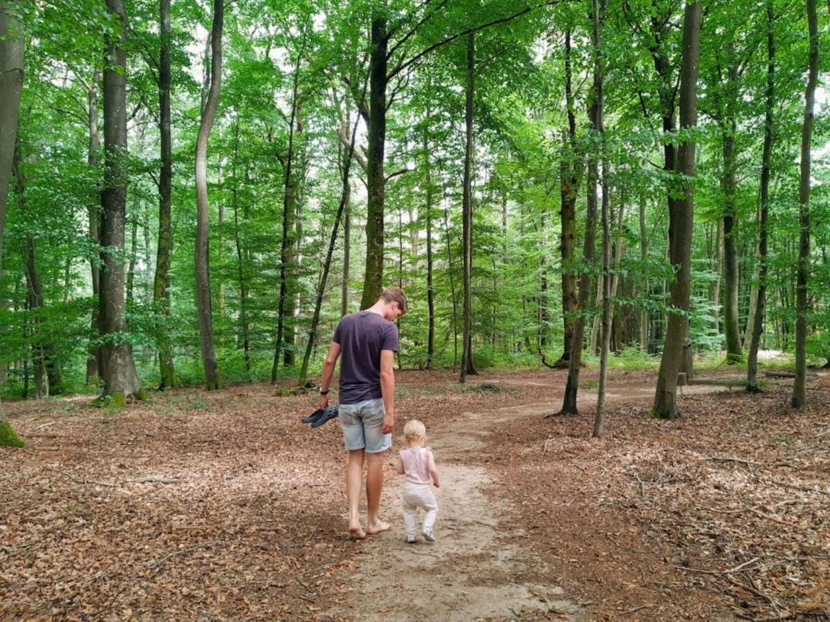 Nice Tent Lodge On A Campsite, Bordering The Forest, Luxembourg At 27 Km Medernach Esterno foto