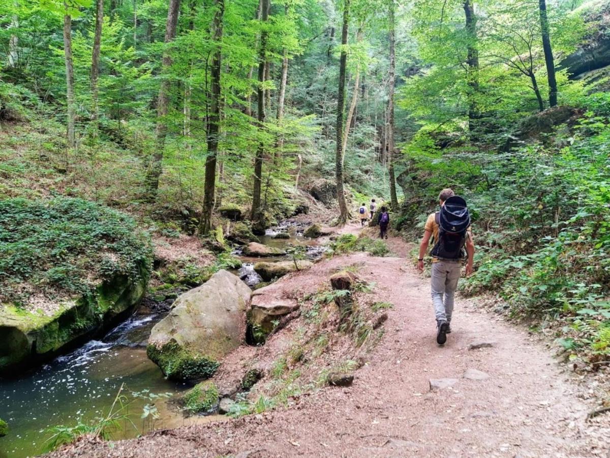 Nice Tent Lodge On A Campsite, Bordering The Forest, Luxembourg At 27 Km Medernach Esterno foto